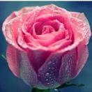 AA利军安、粤尚门窗