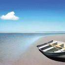 健康.自由的生活