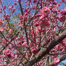 常泰&amp;鑫满满服务外包-吴