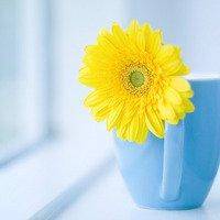 〆、续写不尽的爱恋