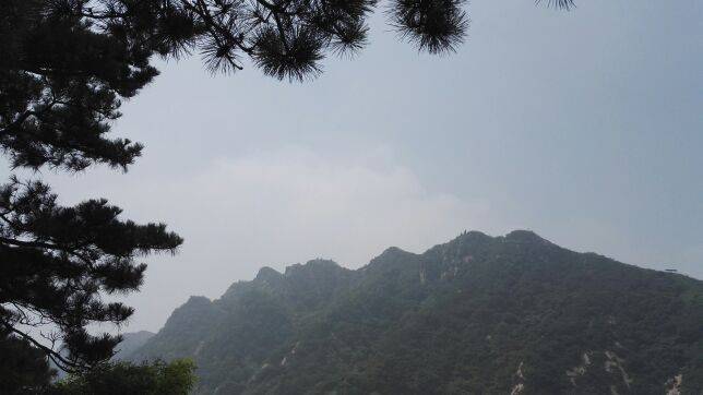 幸福的孩子16.7--82.12