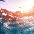 归来仍是少年3875