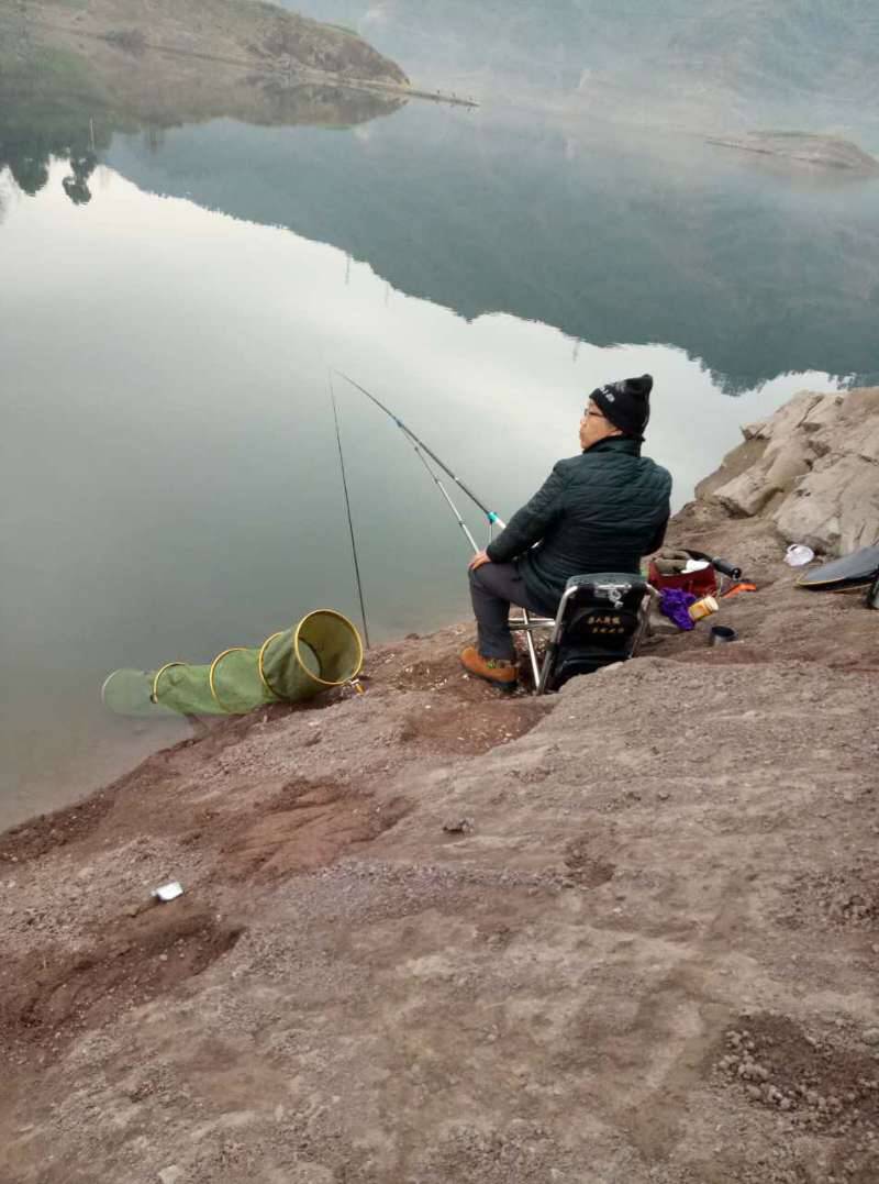 老向要永远陪着小向