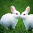 烟花再美也是一瞬间