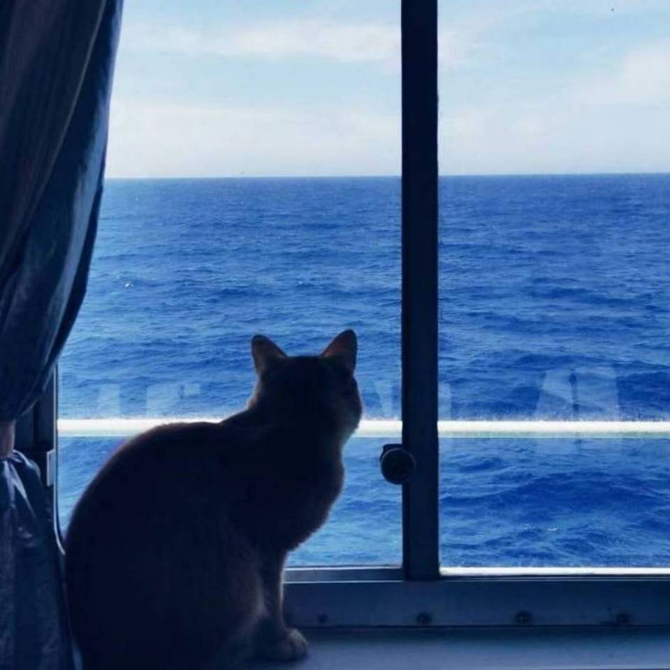 妈妈我想你坚持下去！