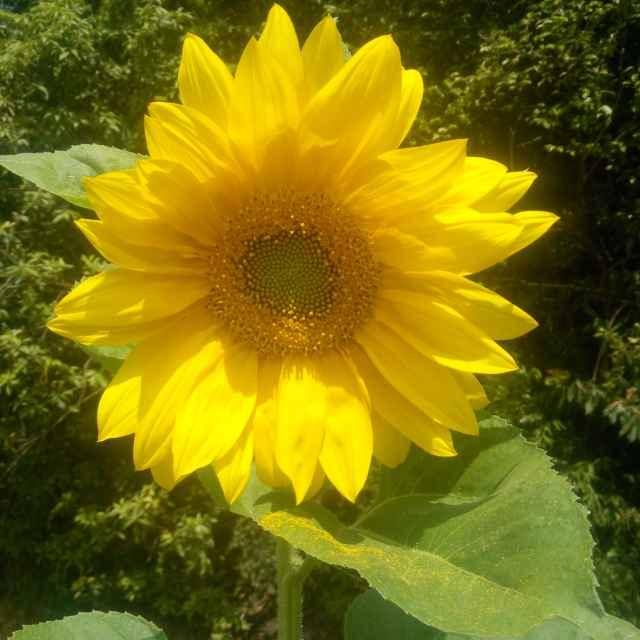 誐騑ポ宁ホ蒙 沩ィ可伈酸