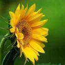 刘晓婷187****4888