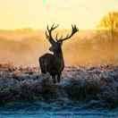 韩松，183****0108