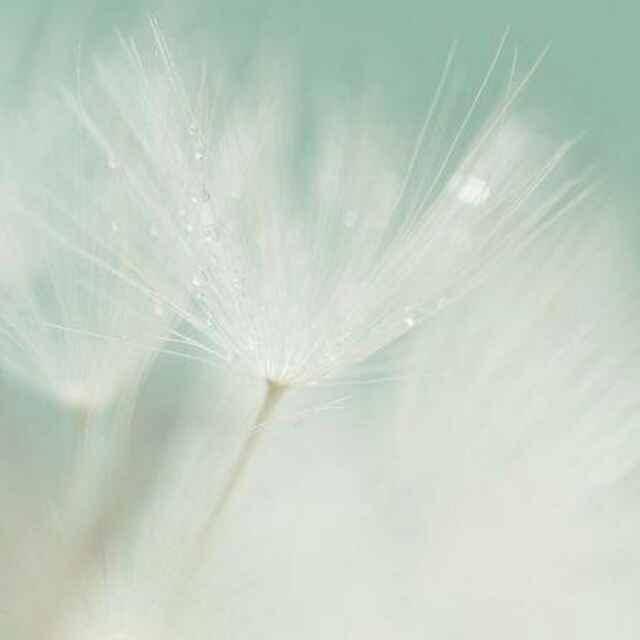 葡式蛋挞的秋天