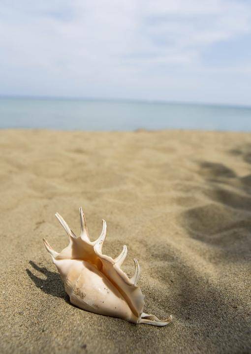 我说喜欢，你当玩笑