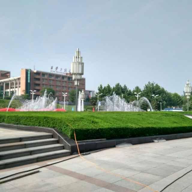 坚强就是胜利8559