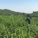 俞佳慧妈（艳）