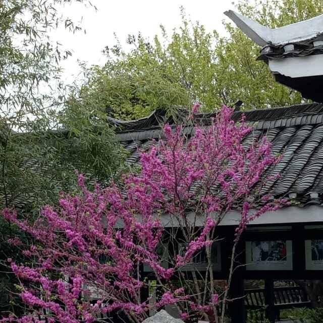 AN！且行且珍惜！