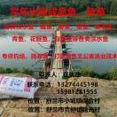 吉北渔业合作社