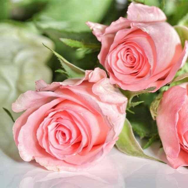 不抱怨的人生9601