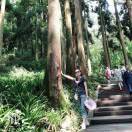 心灵美的李子7178