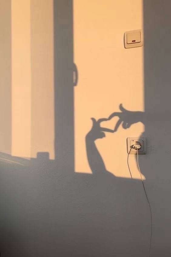 阳光下的冰淇淋☀️