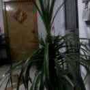 亮剑，弘扬正道