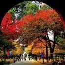 郭英萍131****5816（调慢性理病