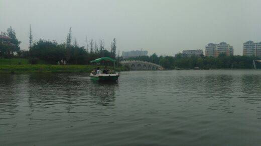 腾笼换鸟  浴火重生