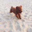 季婷婷Happy美亚旅行