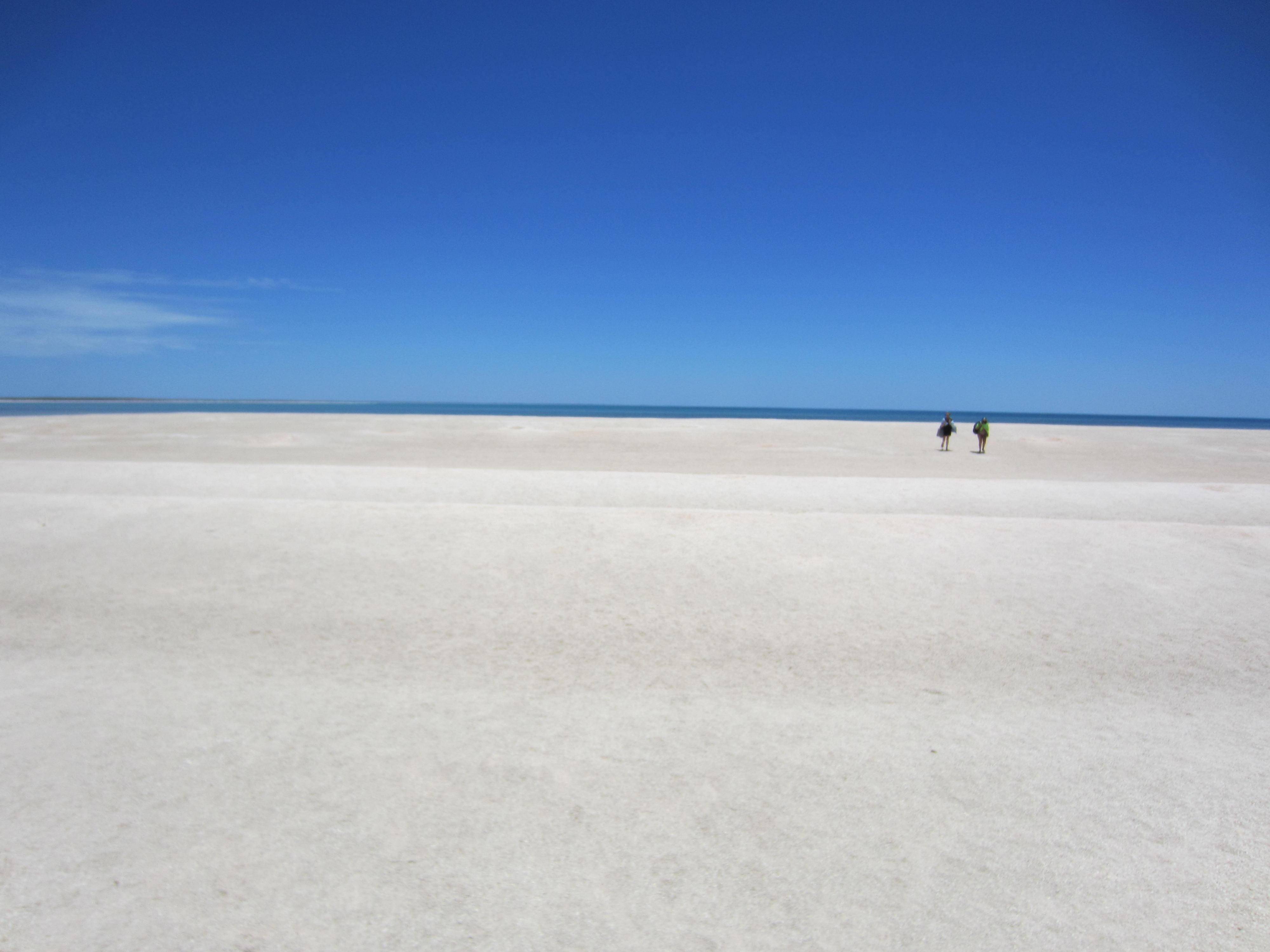 風帶不走優雅的哥