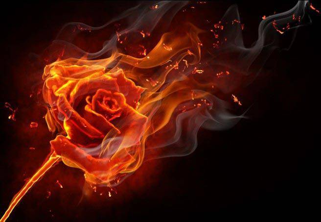 阿里巴巴是个贼