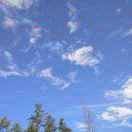 十字路口任我行