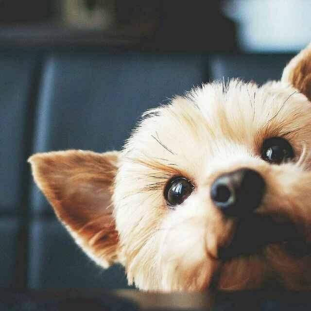 『梦的远方，什么模样~』