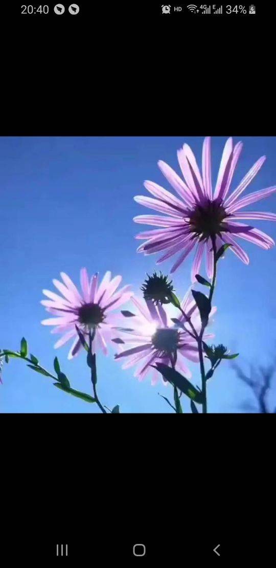 会过去的会好的