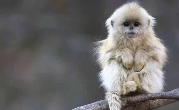 张娟百大韩妆