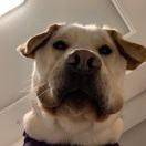 ꯭谢꯭大꯭凯꯭