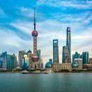 悠悠我心