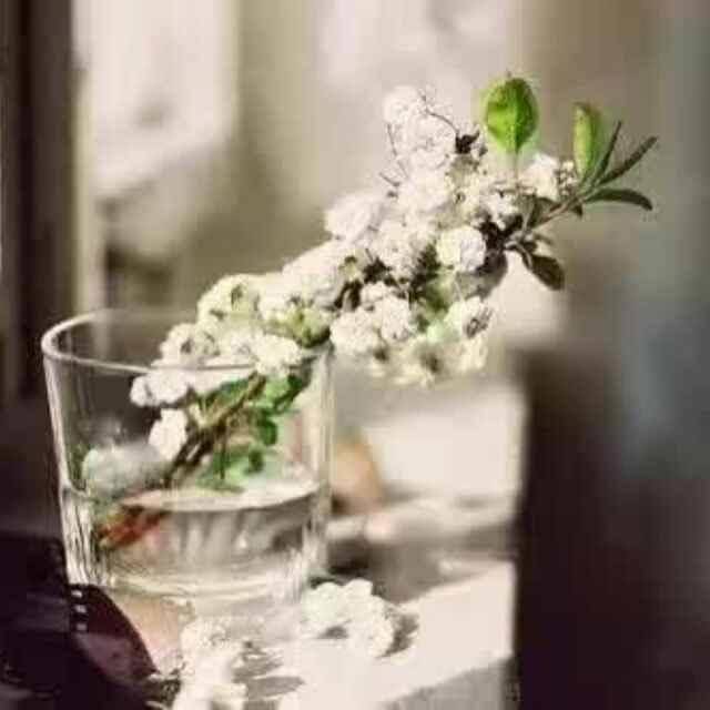 阳光总在风雨后66