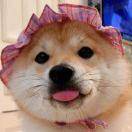 一定会好起来4253