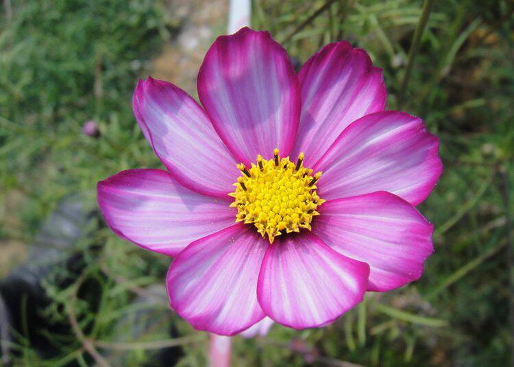 天长地久锦秀中华