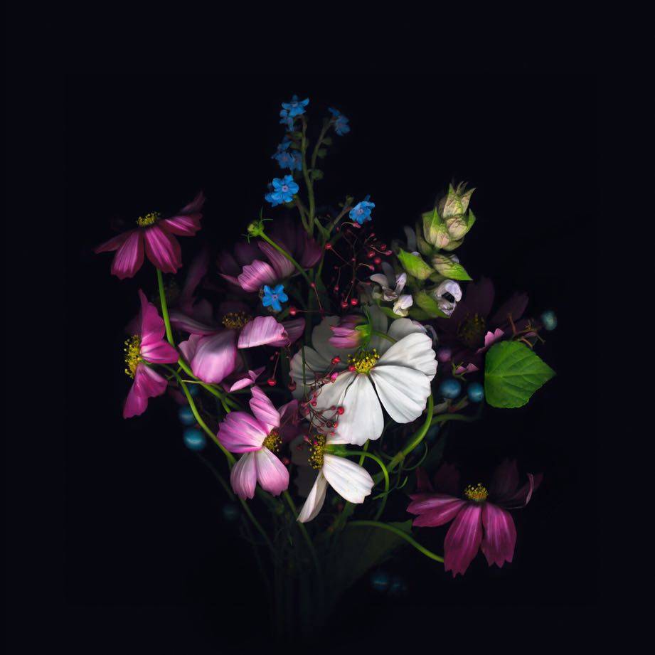 爱吃兔子的番茄