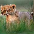 耿景海James Ghenghis kh