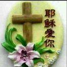 杨许叶     （河北）