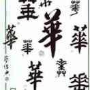 仅此而已177****0962