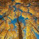 红红火火恍恍惚惚