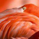 天津鑫汇洋志伟