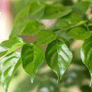 深情的跑步机9993