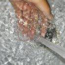 头像你们可能看不出是我€^_^