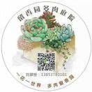 AI我是刘掌柜$多肉花器