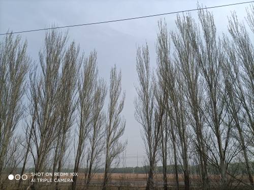 觅友_R7V2503387245