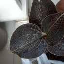 风逸云闲181****0107