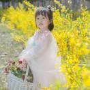 随遇而安26785370