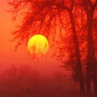 wx_1170826475