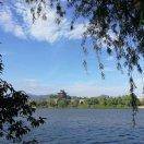 觅友_C19R8901928895619